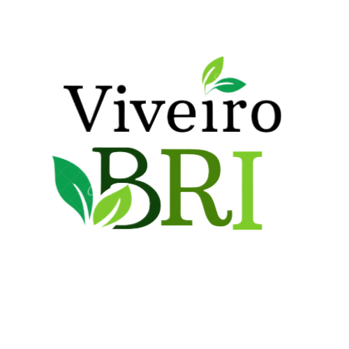 ViveiroBri